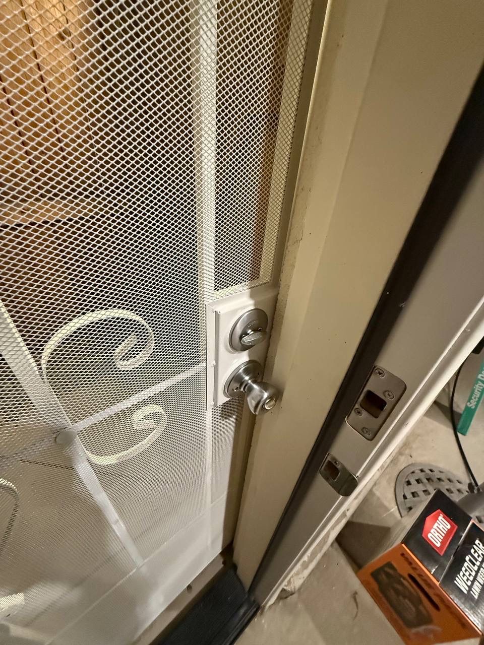 8881__IMG_5203